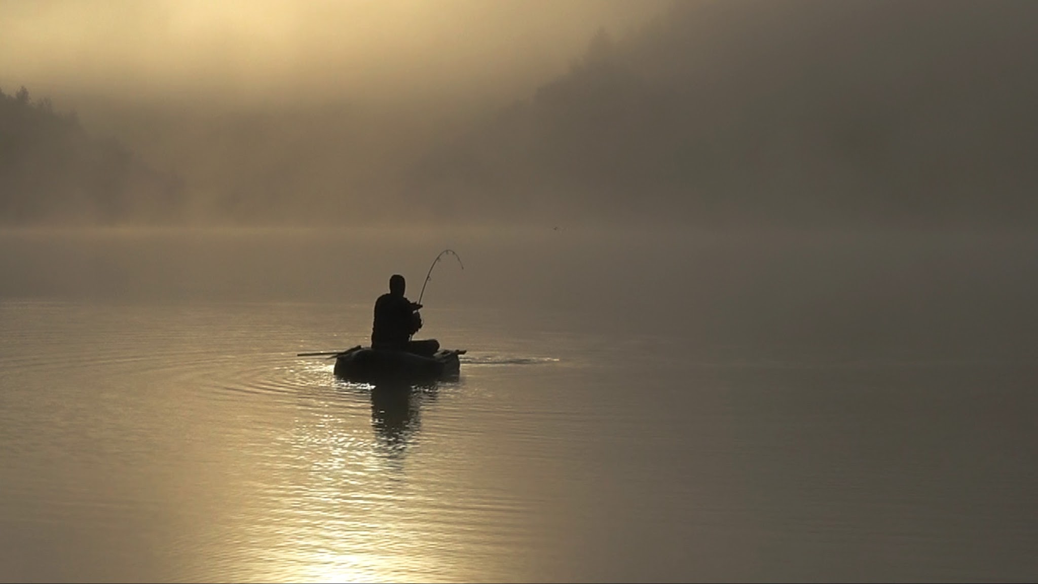 POLE POSITION CARP FISHING TV YouTube banner