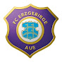 FC Erzgebirge Aue e.V. logo
