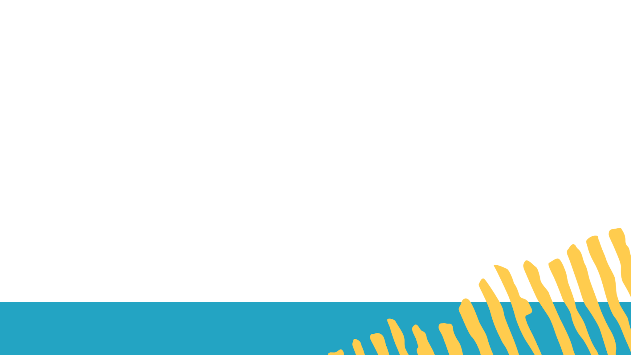Weerribben-Wieden YouTube banner