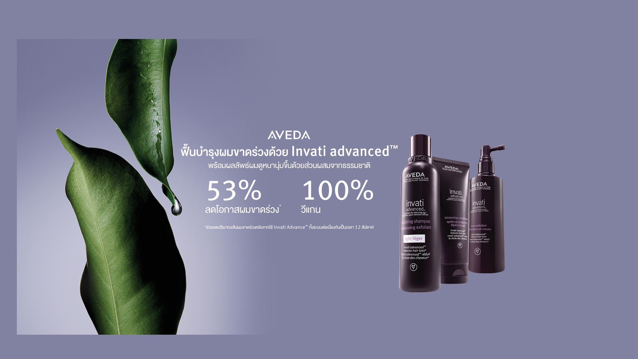 Aveda Thailand YouTube banner