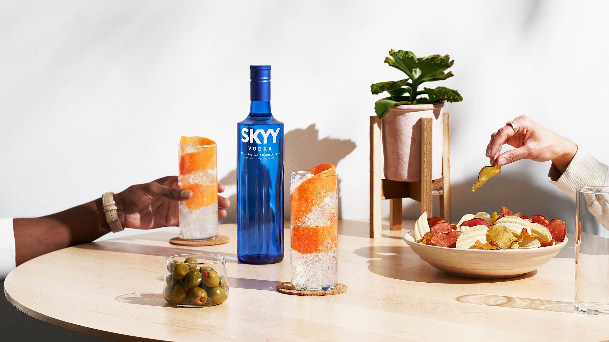 SKYY Vodka YouTube banner