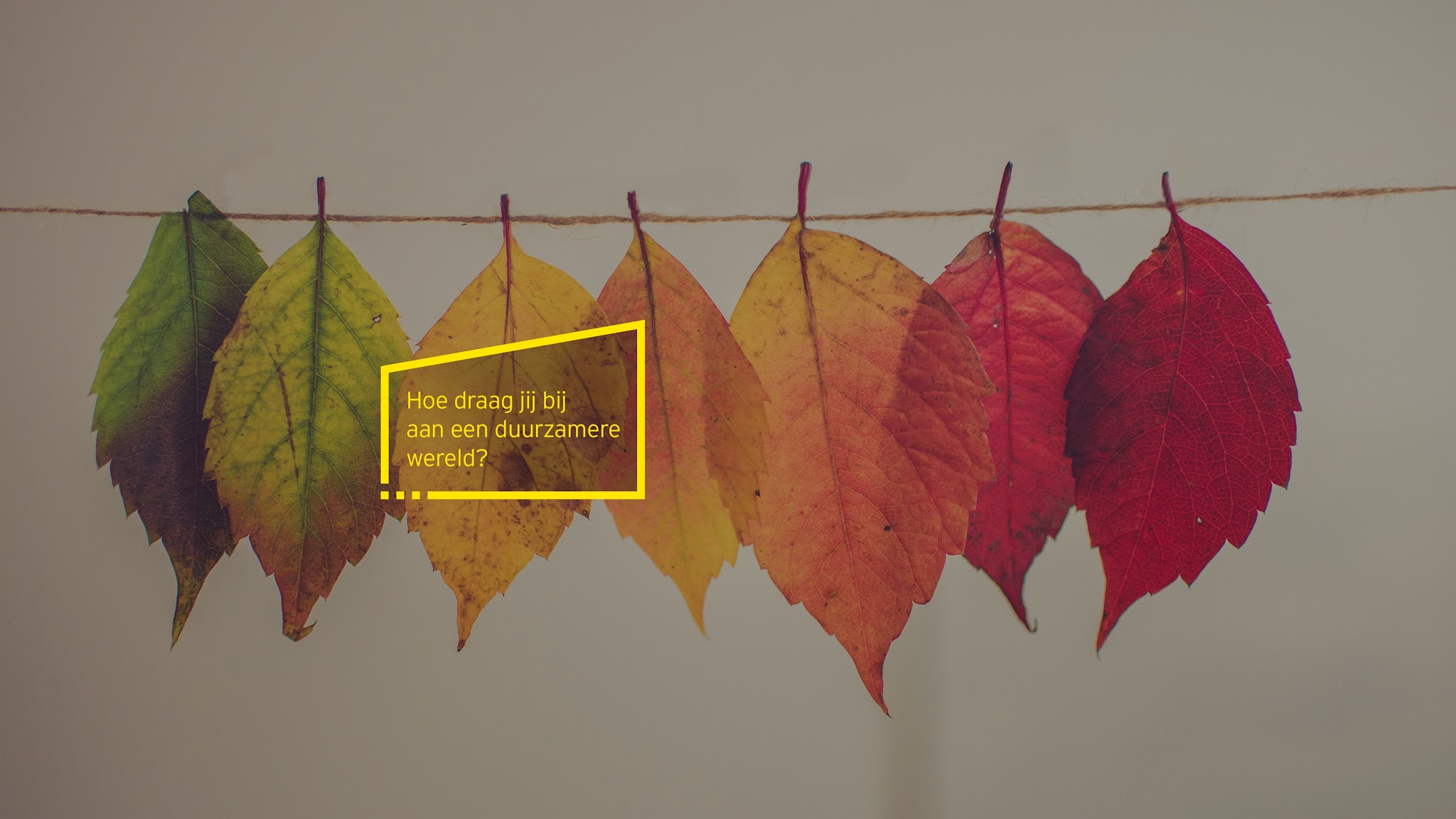 EY Nederland YouTube banner