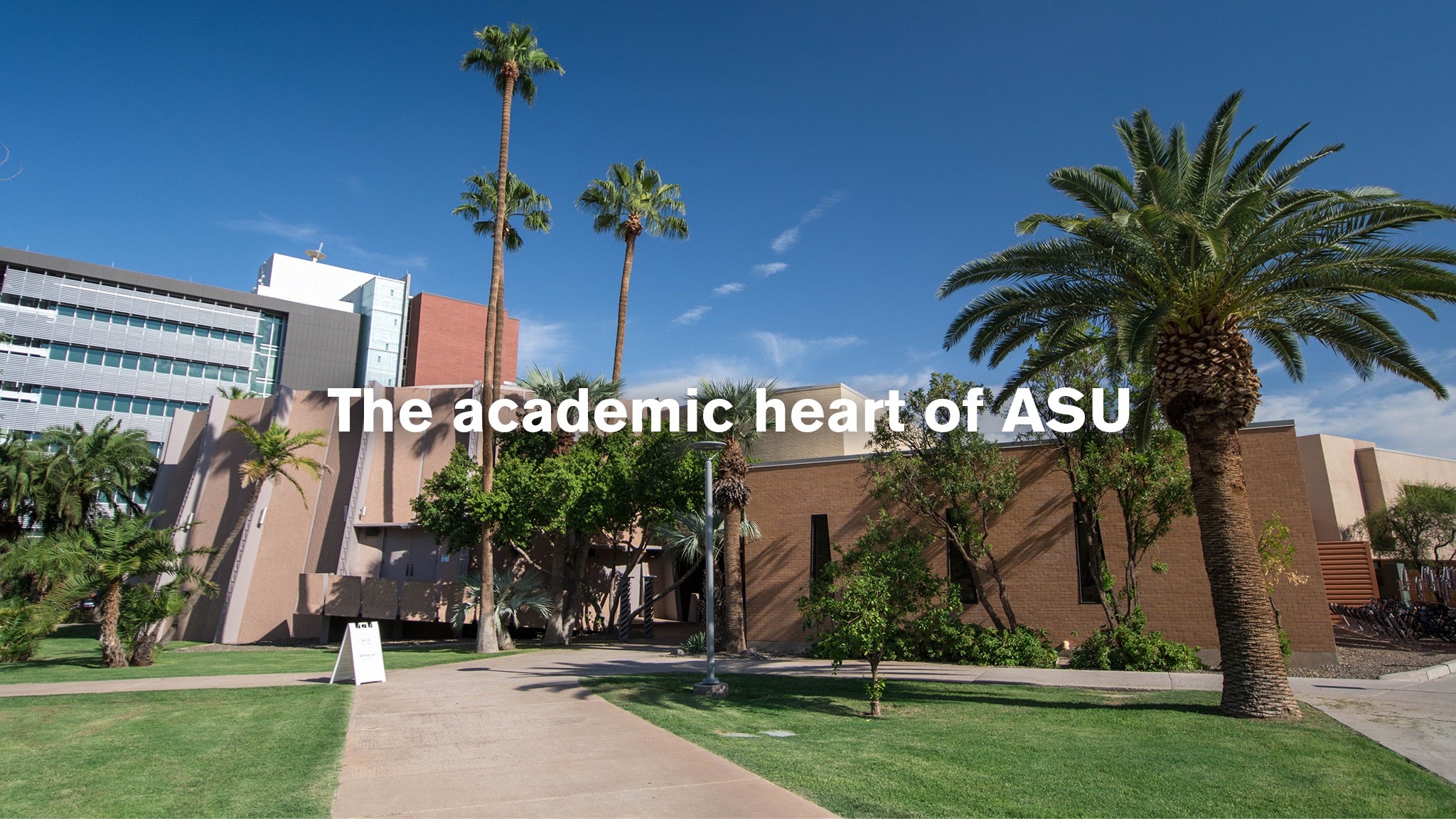 The College of Liberal Arts and Sciences YouTube banner