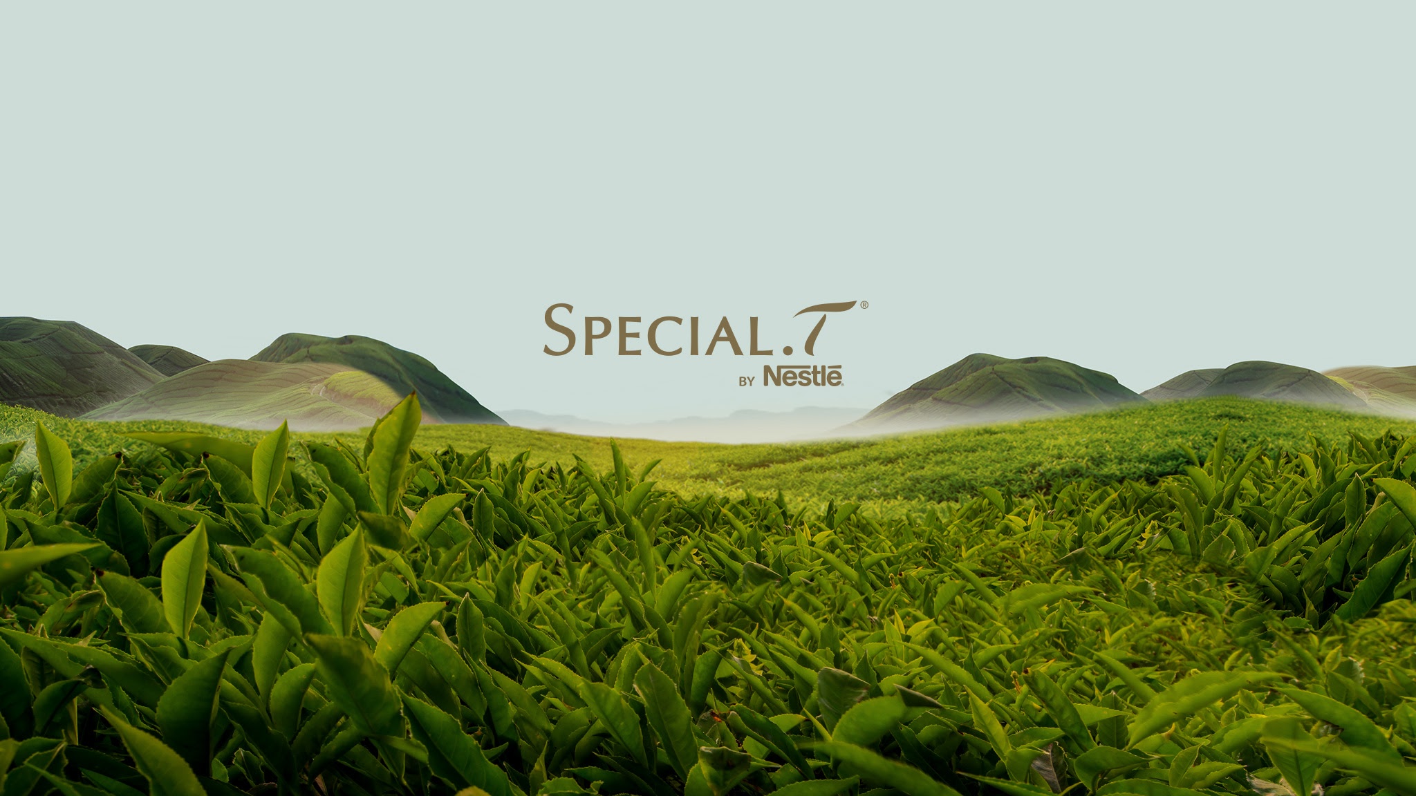 SpecialTbyNestle YouTube banner