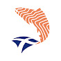 Salmon Scotland YouTube channel avatar 
