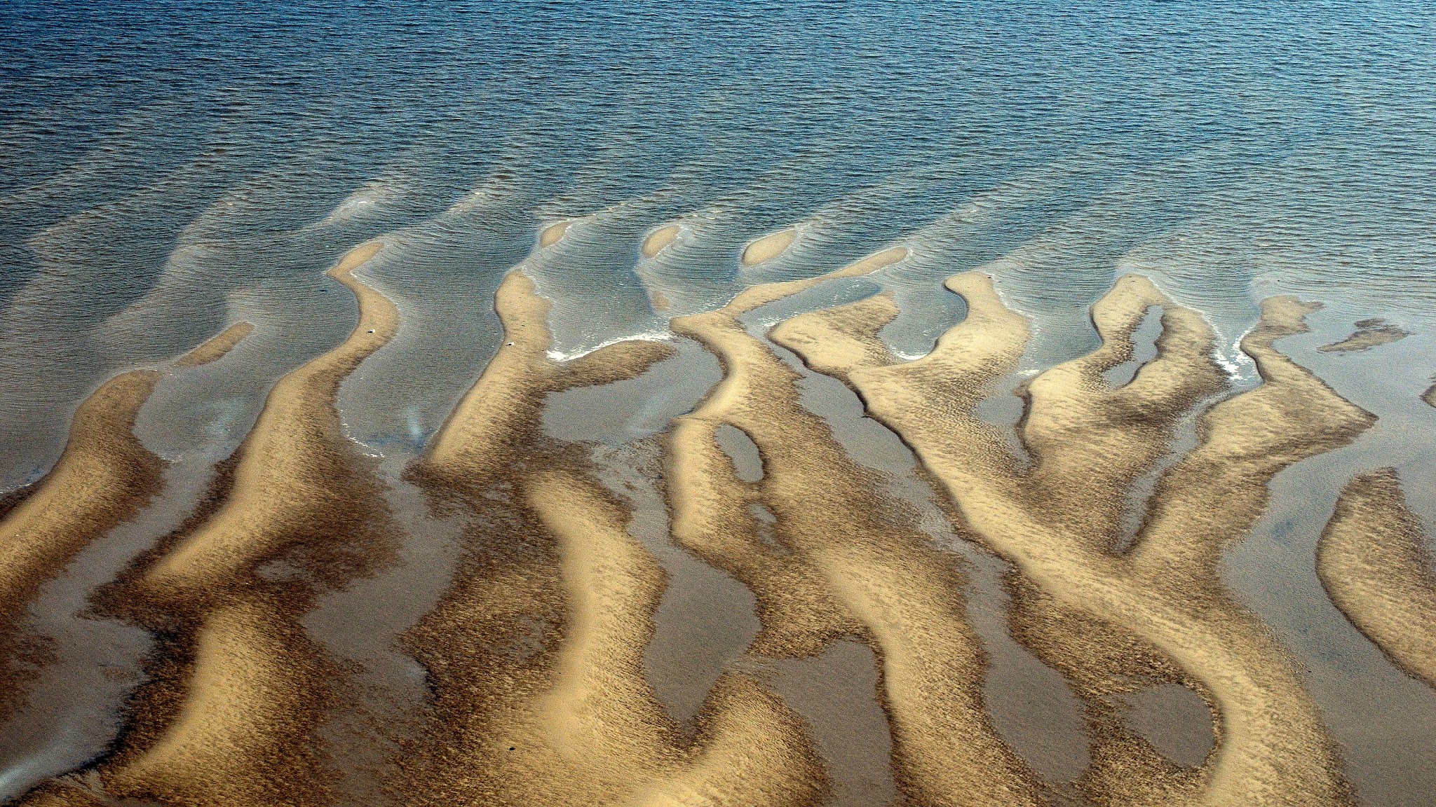 Nationalpark Wattenmeer YouTube banner