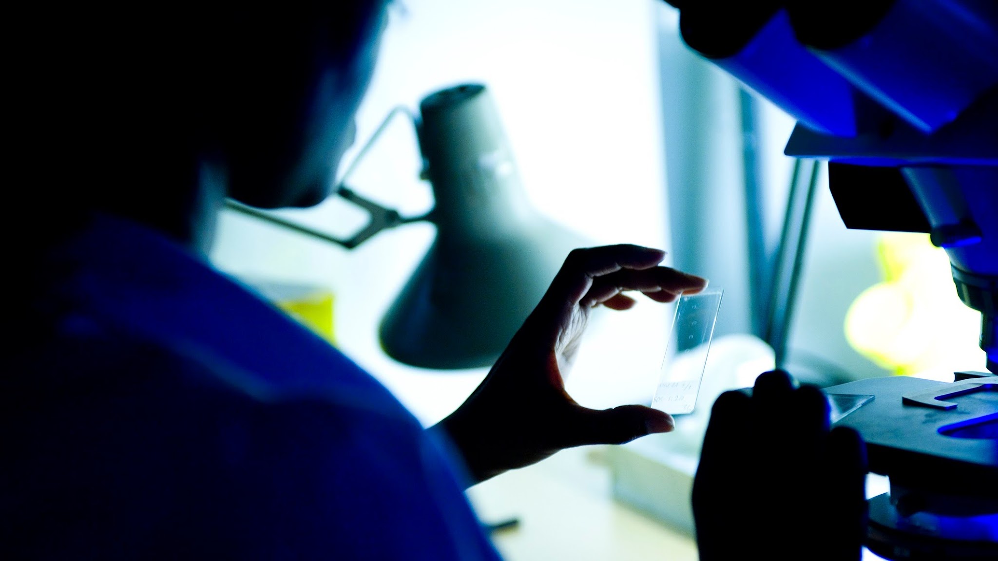 Faculty of Medicine Lund University YouTube banner
