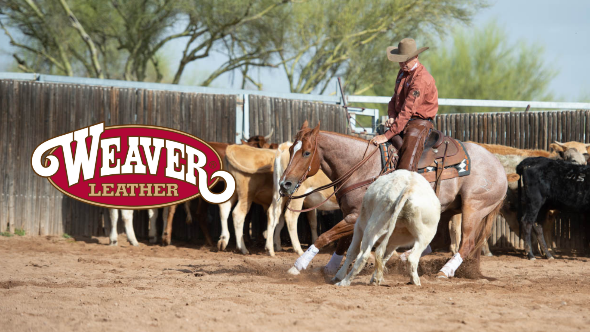 Weaver Equine YouTube banner
