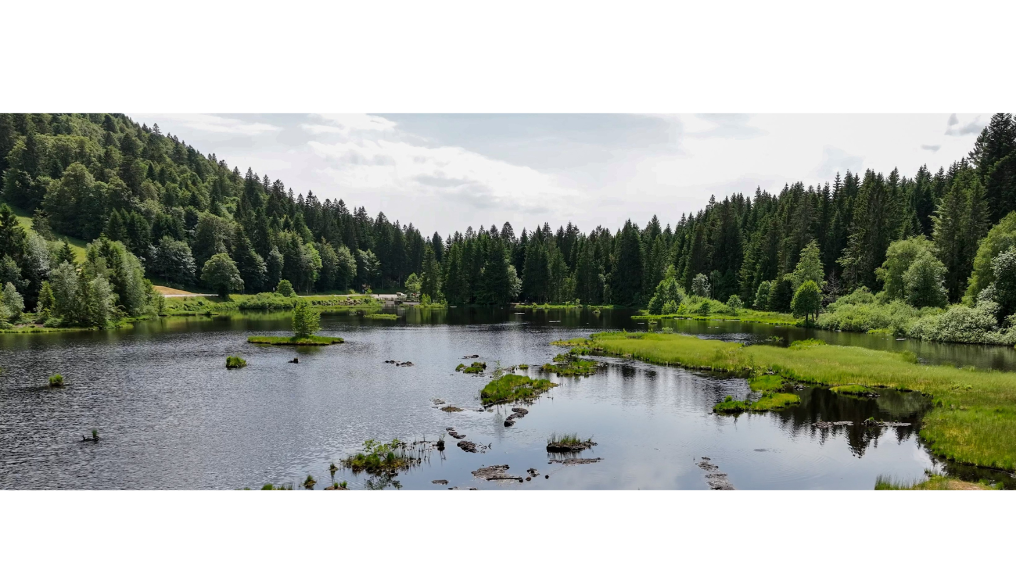 Agence de l'eau Rhin-Meuse YouTube banner