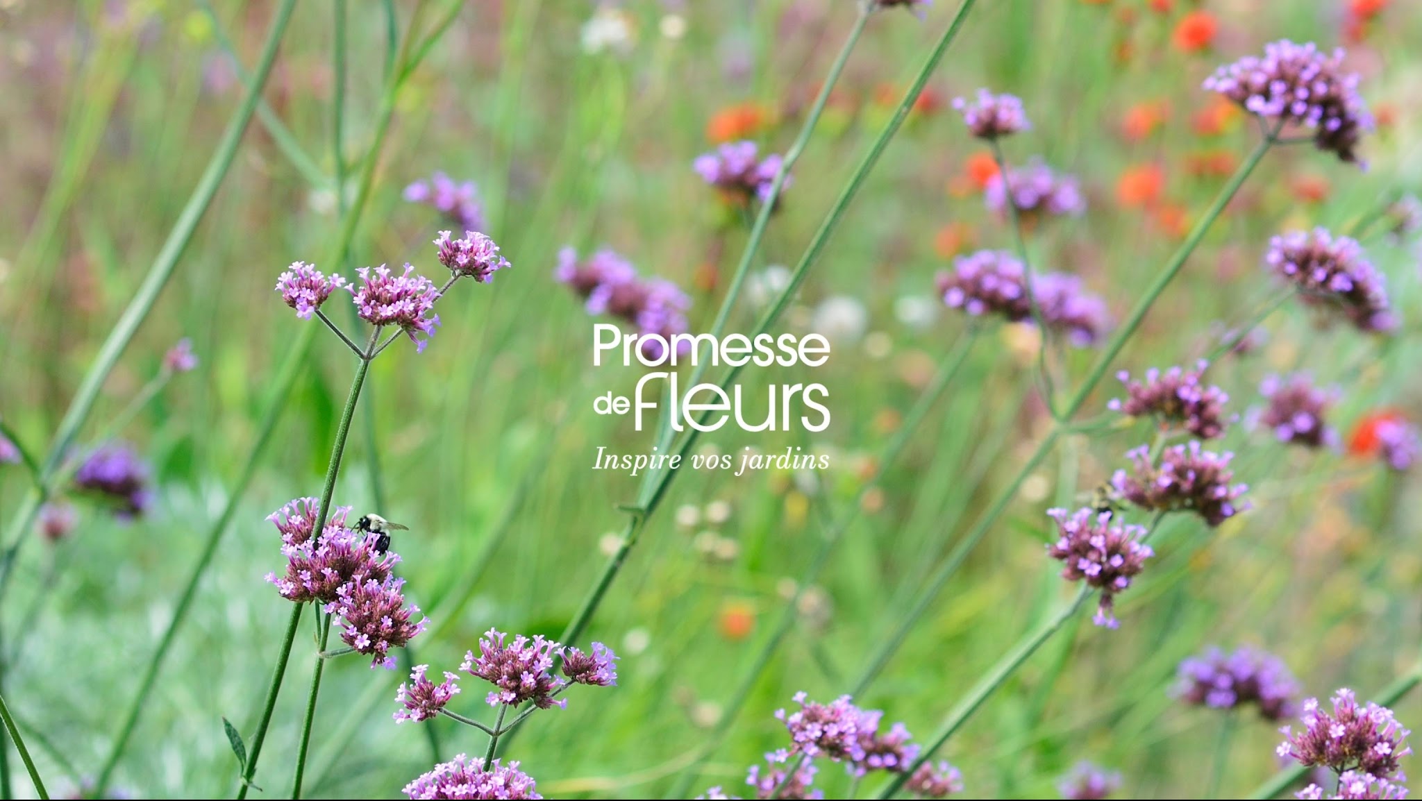 Promesse de Fleurs YouTube banner