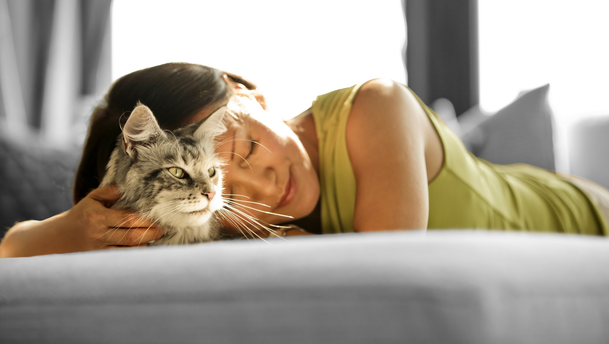 Purina France YouTube banner