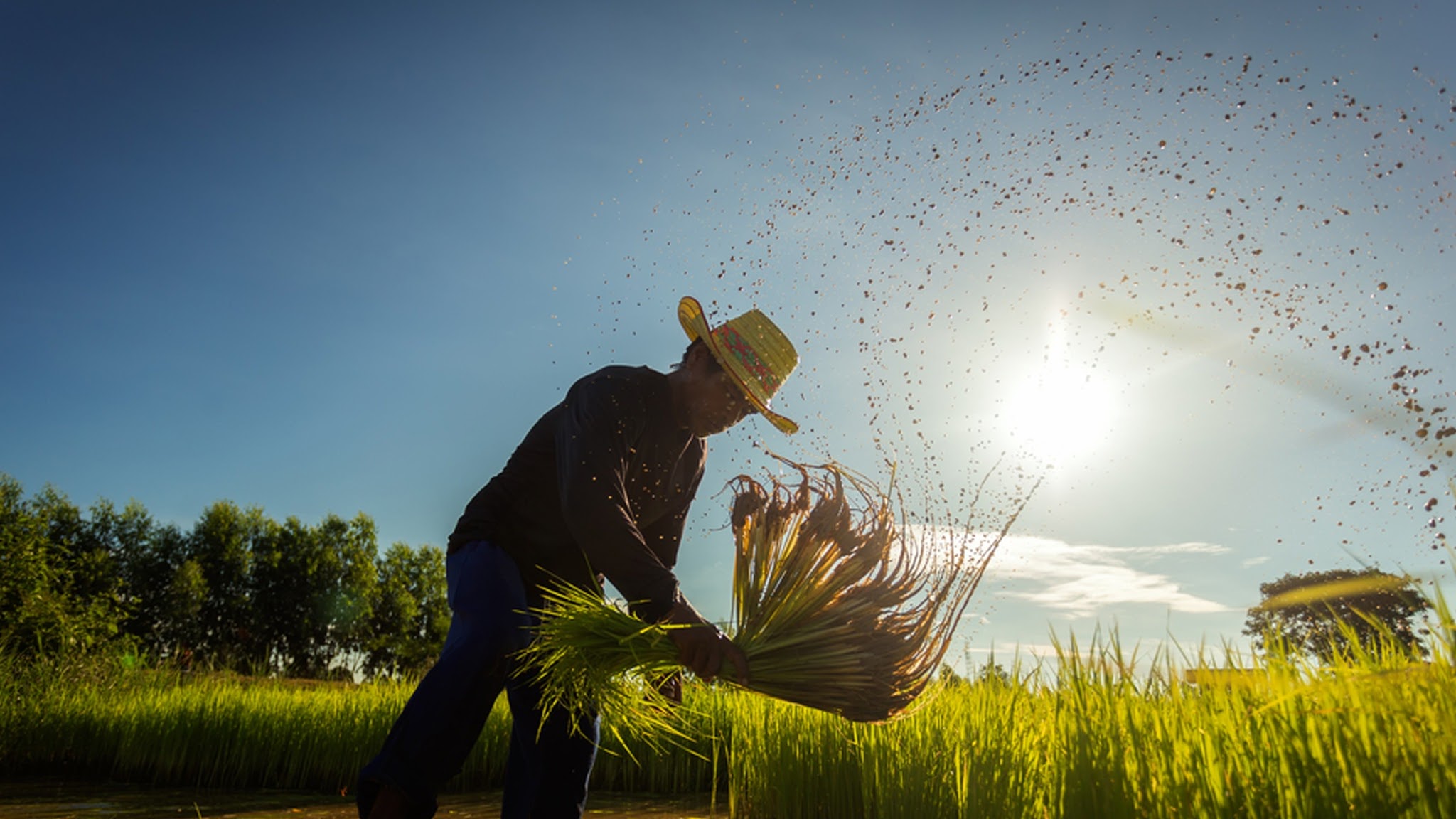 Corteva Agriscience Indonesia YouTube banner