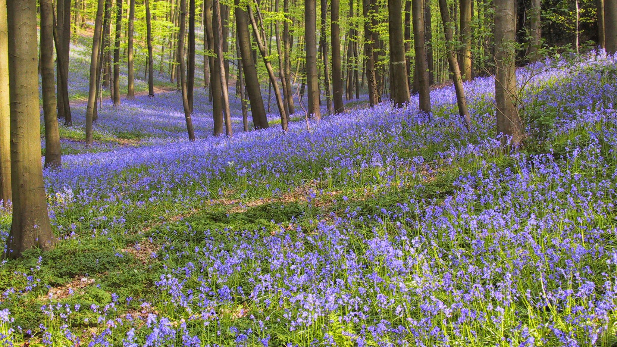 Agentschap voor Natuur en Bos YouTube banner