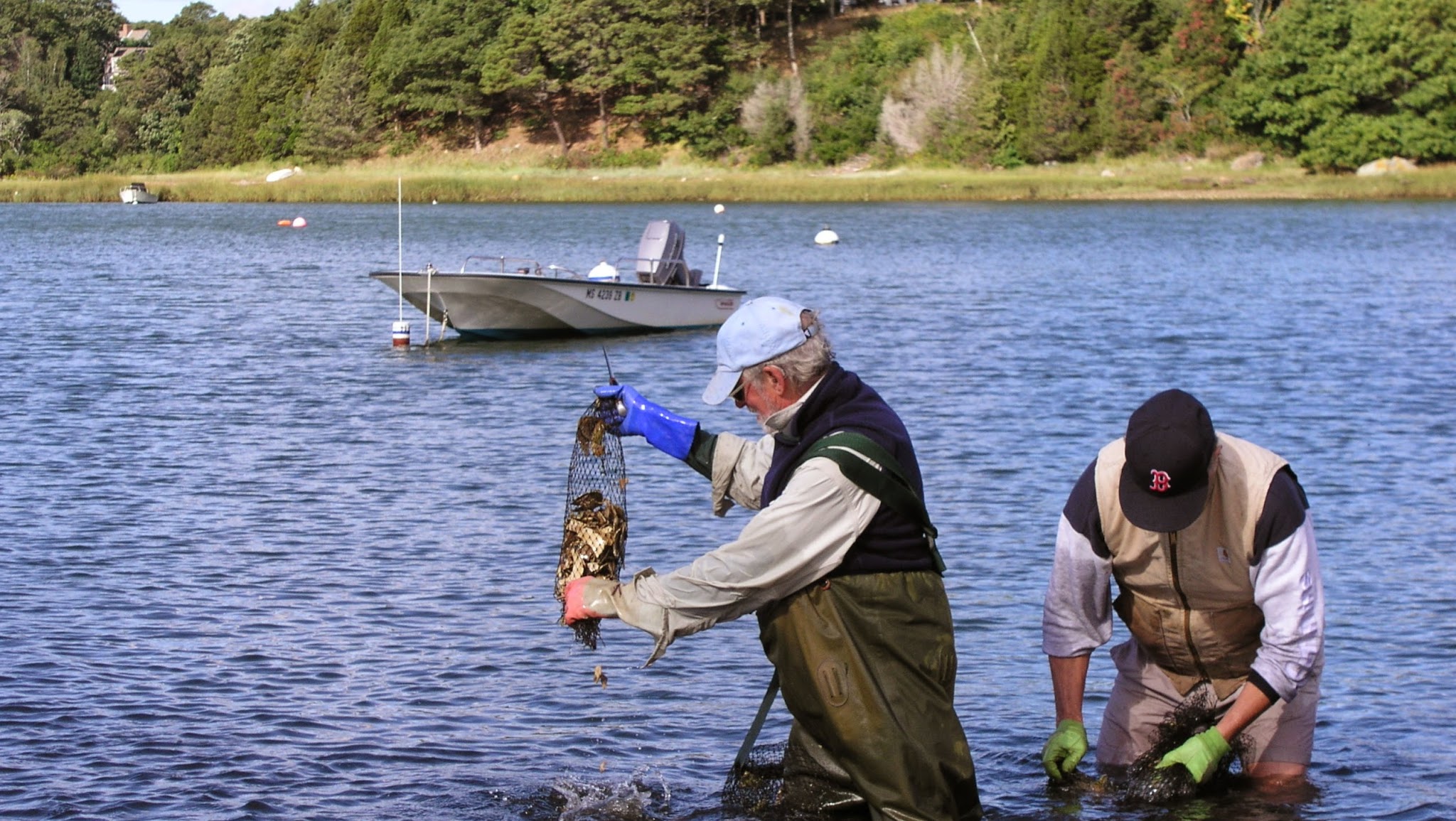 Woods Hole Sea Grant YouTube banner