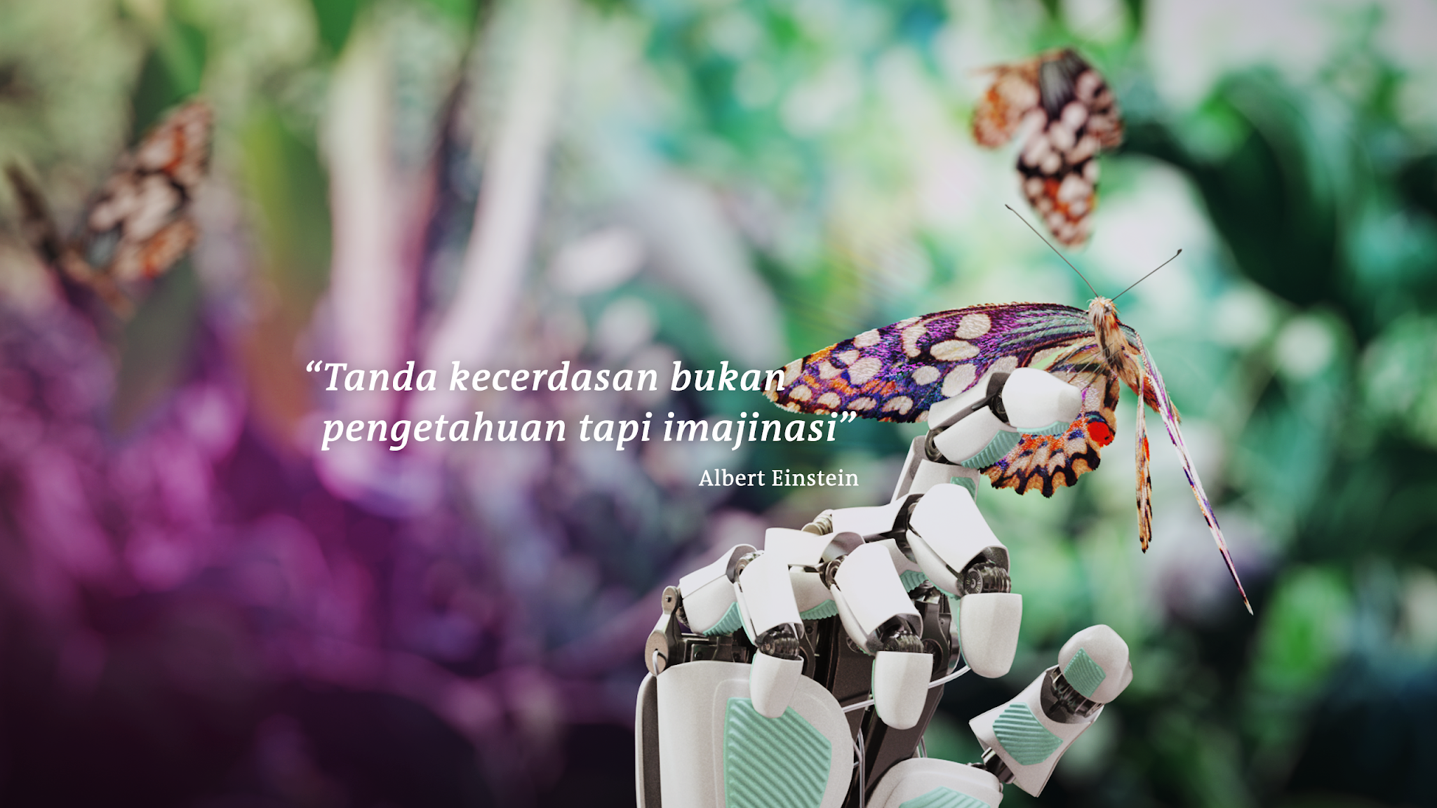 DW Indonesia YouTube banner