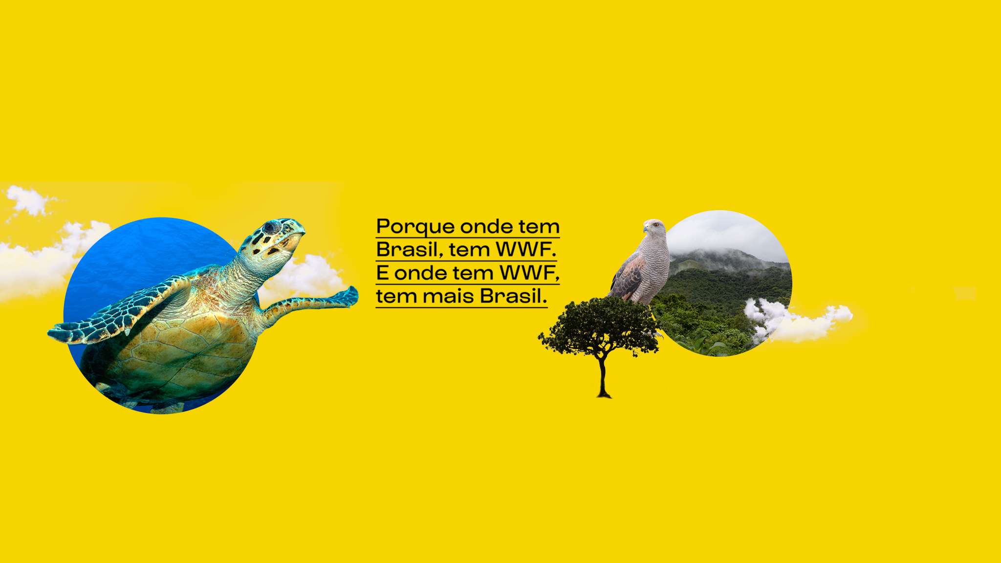 WWF-Brasil YouTube banner