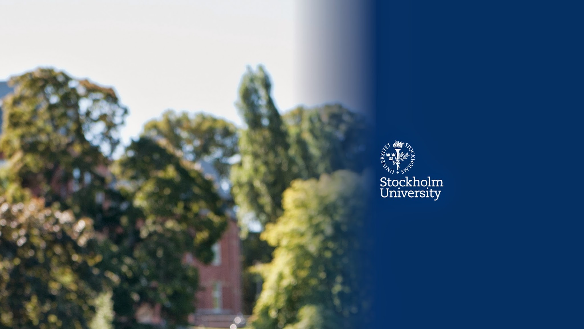 Stockholm Business School Stockholm University YouTube banner
