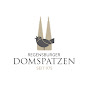 Domspatzen TV logo