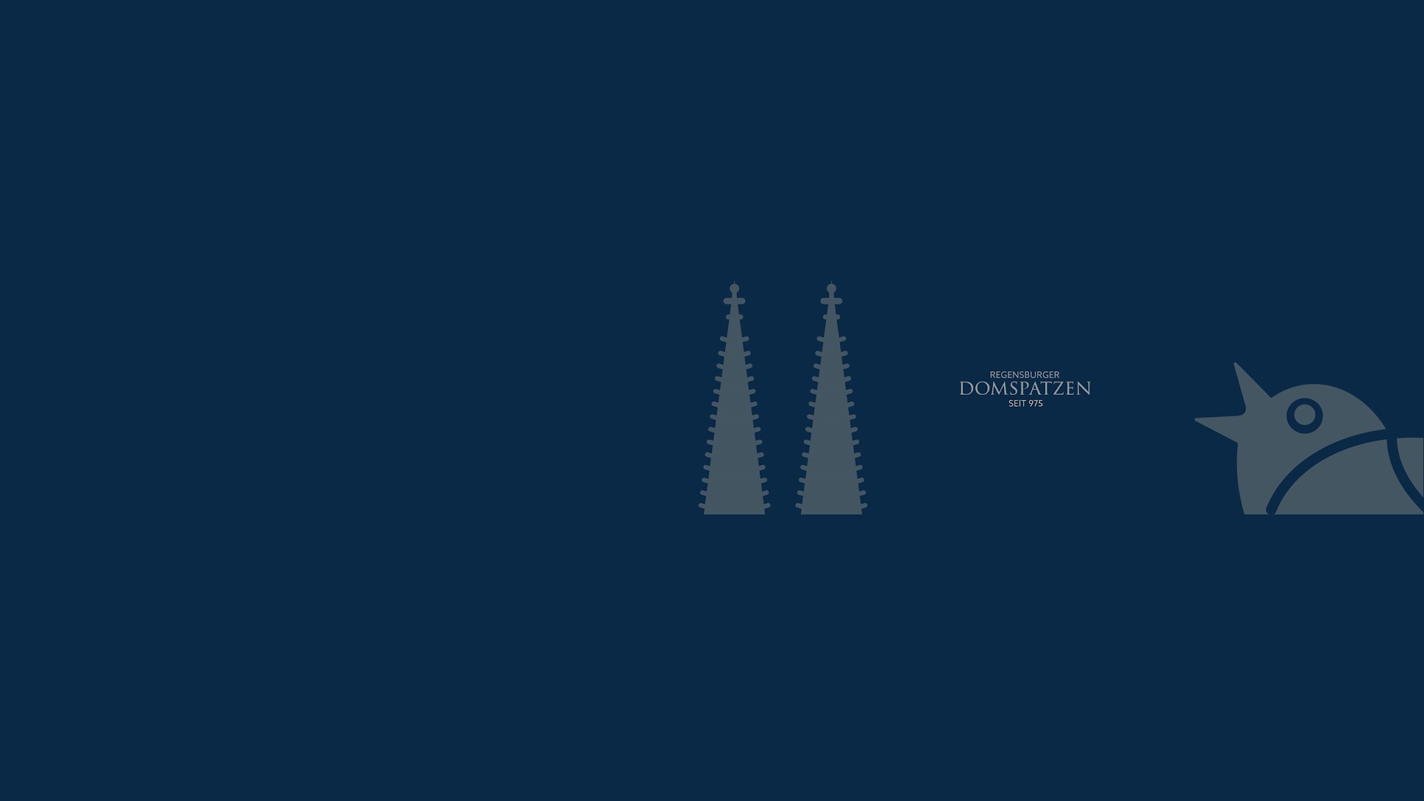 Domspatzen TV YouTube banner