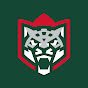 Ak Bars YouTube channel avatar 