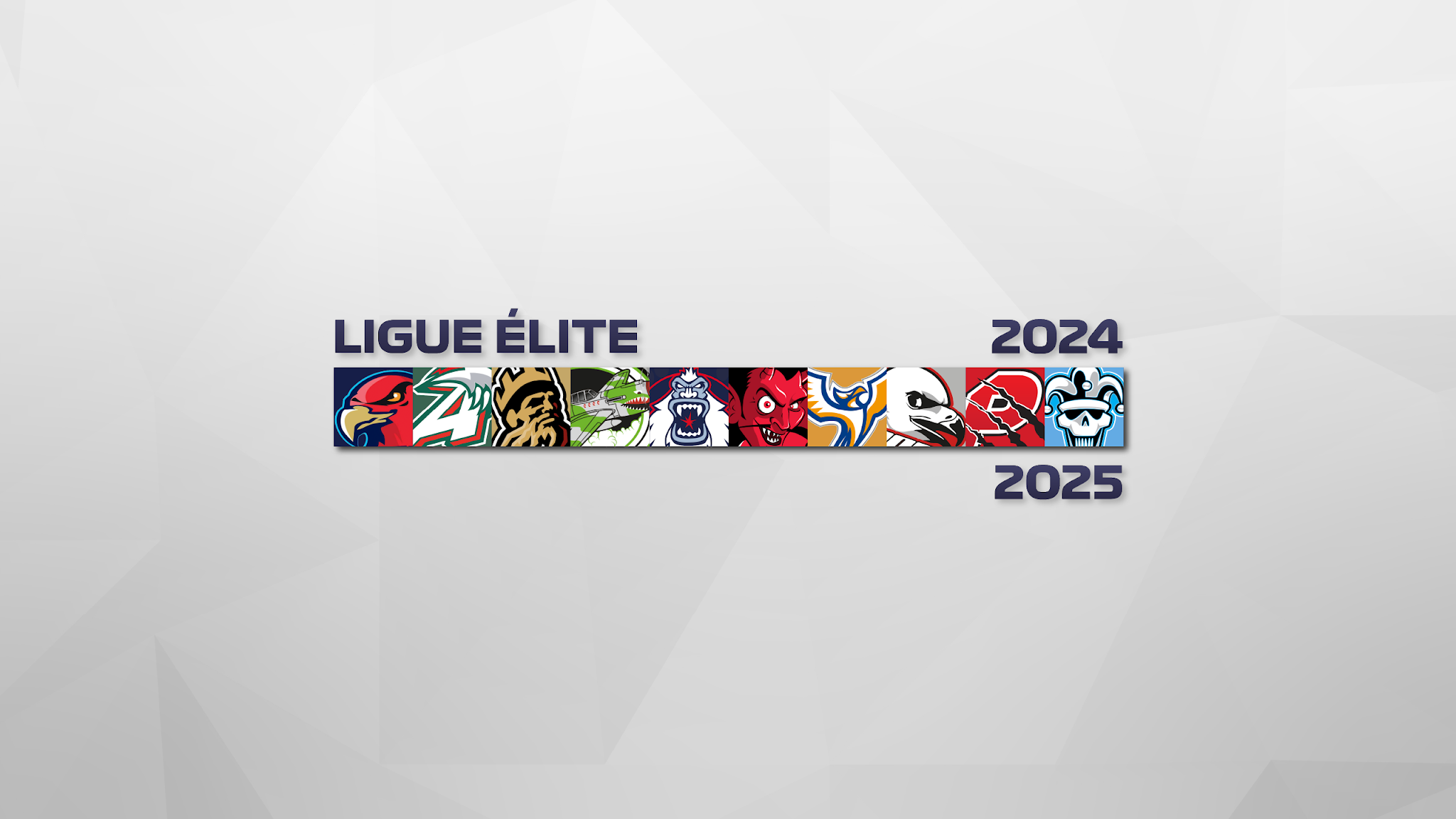 LIGUE ÉLITE YouTube banner