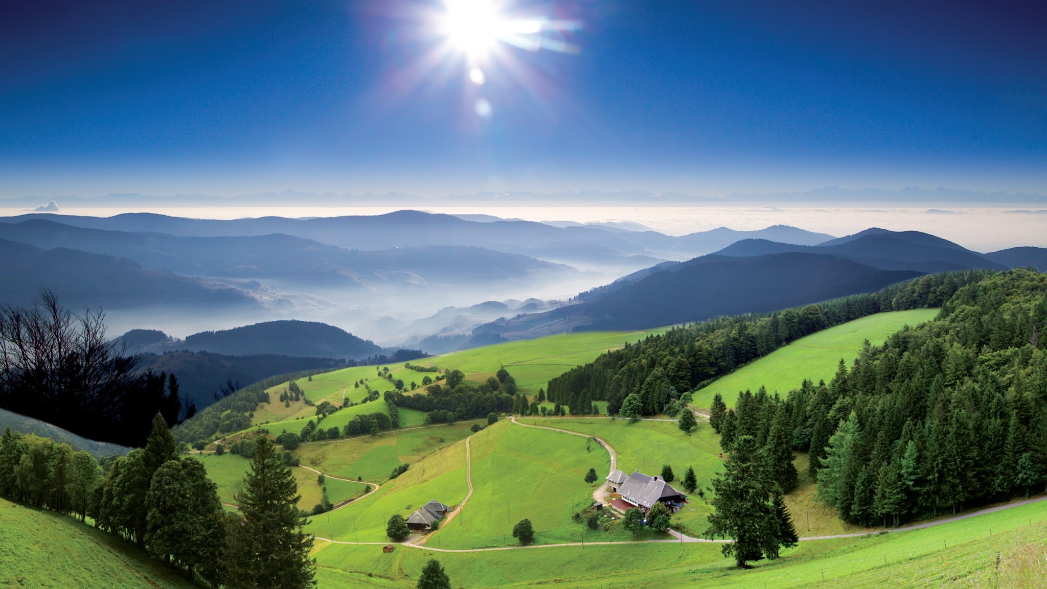 Schwarzwaldmilch YouTube banner