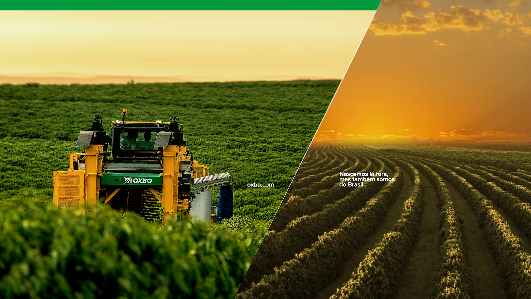 Oxbo do Brasil YouTube banner