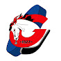 HC Gherdëina logo
