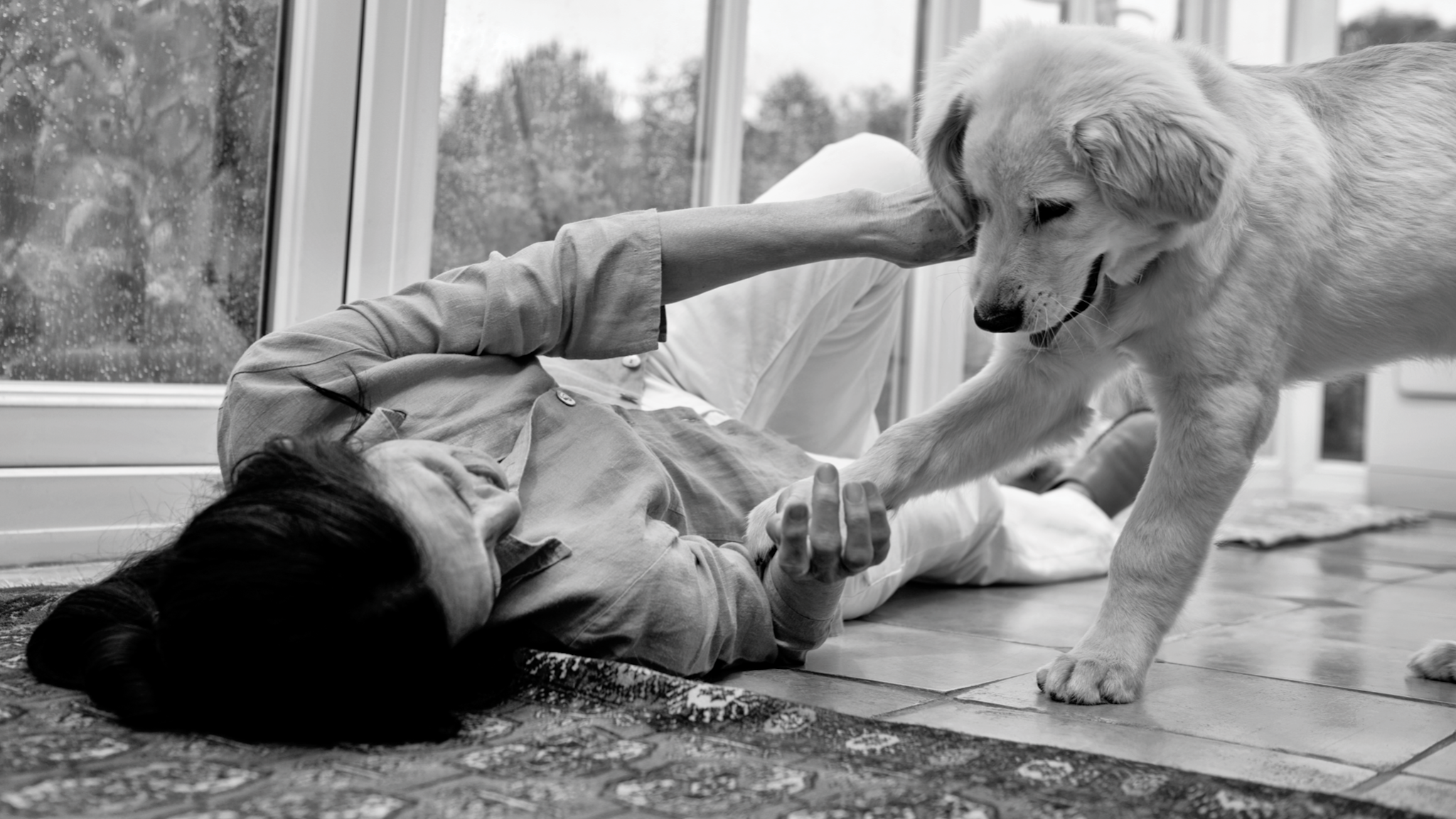 Purina Uruguay YouTube banner