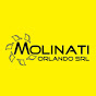 Molinati srl logo