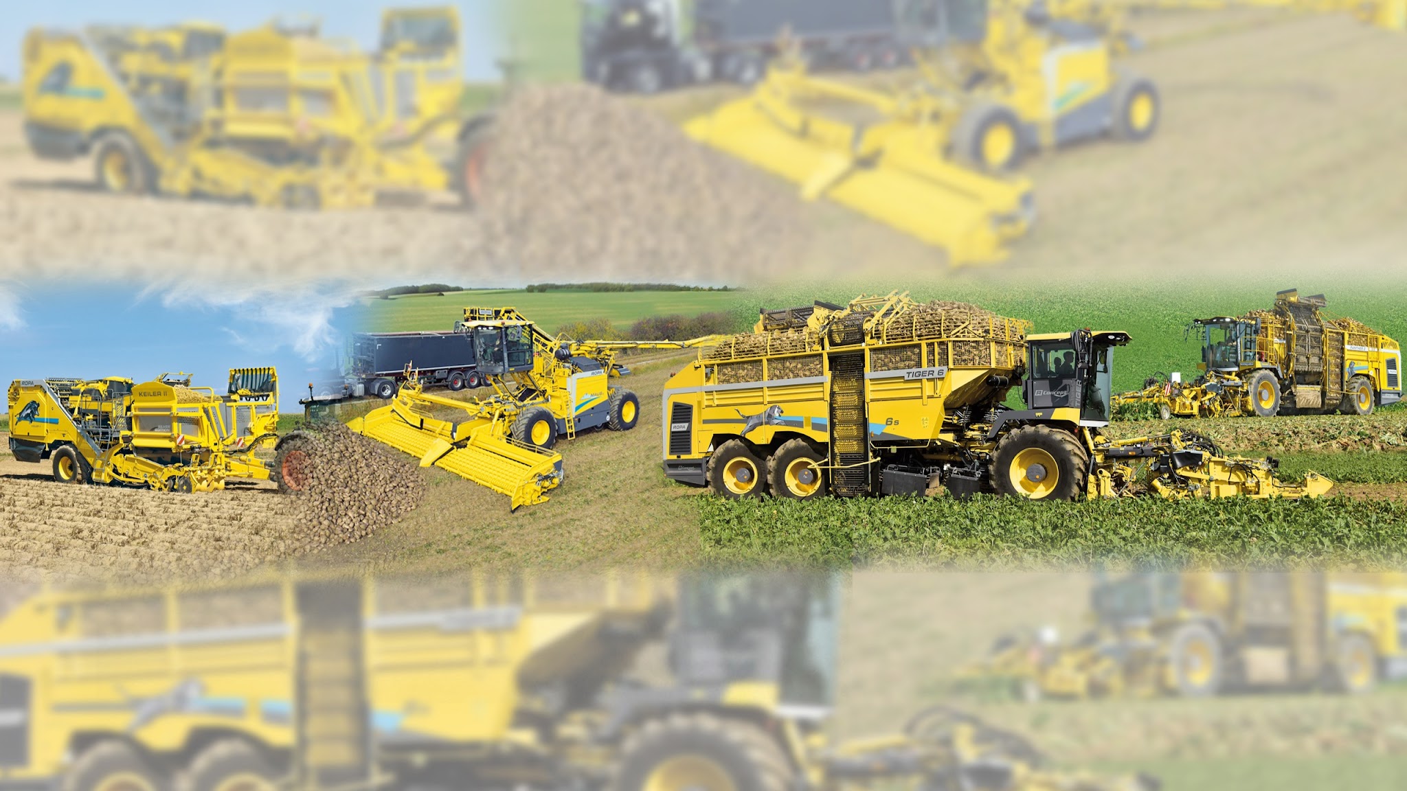 ROPASittelsdorf YouTube banner