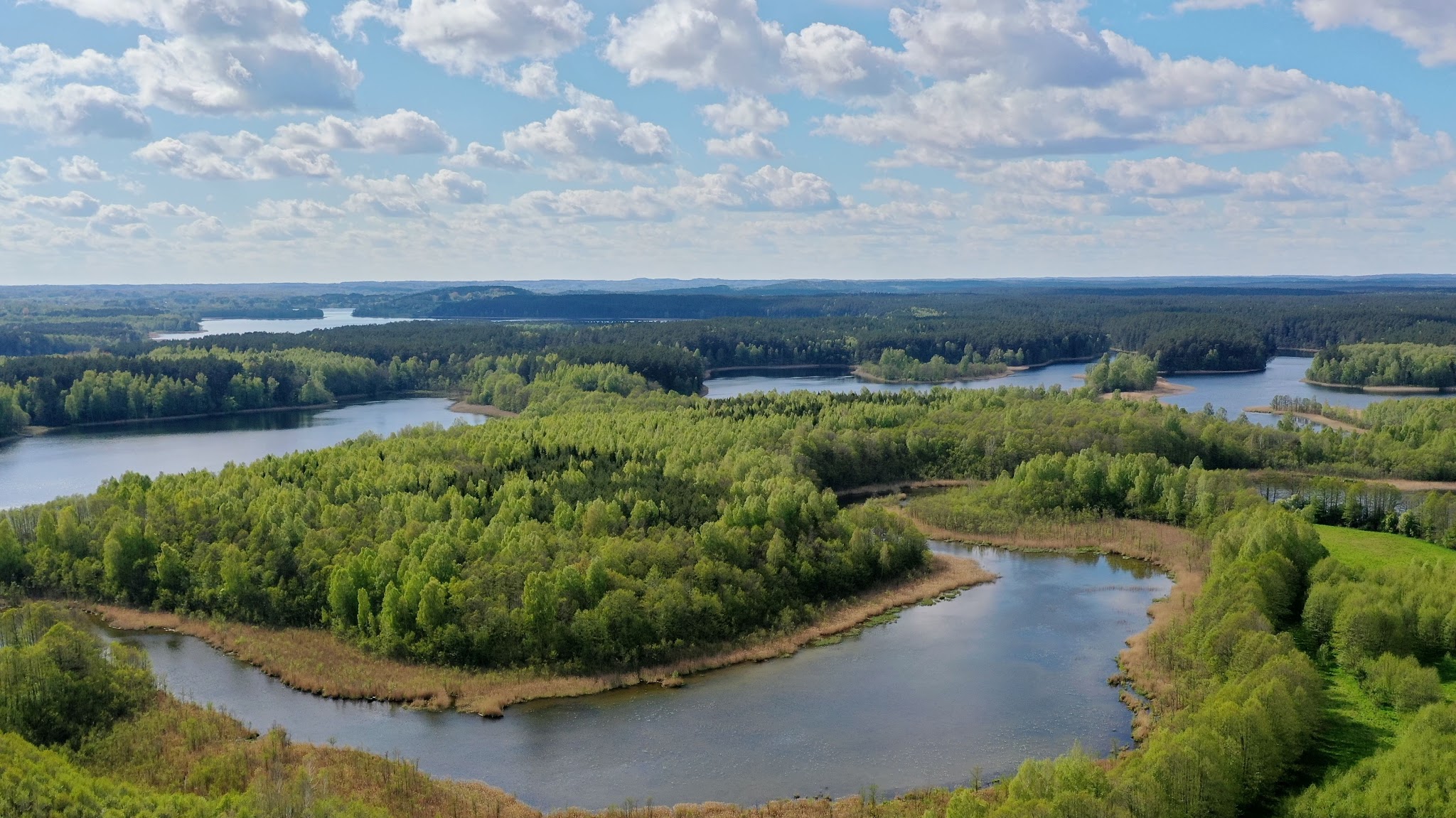 Valstybinių miškų urėdija YouTube banner