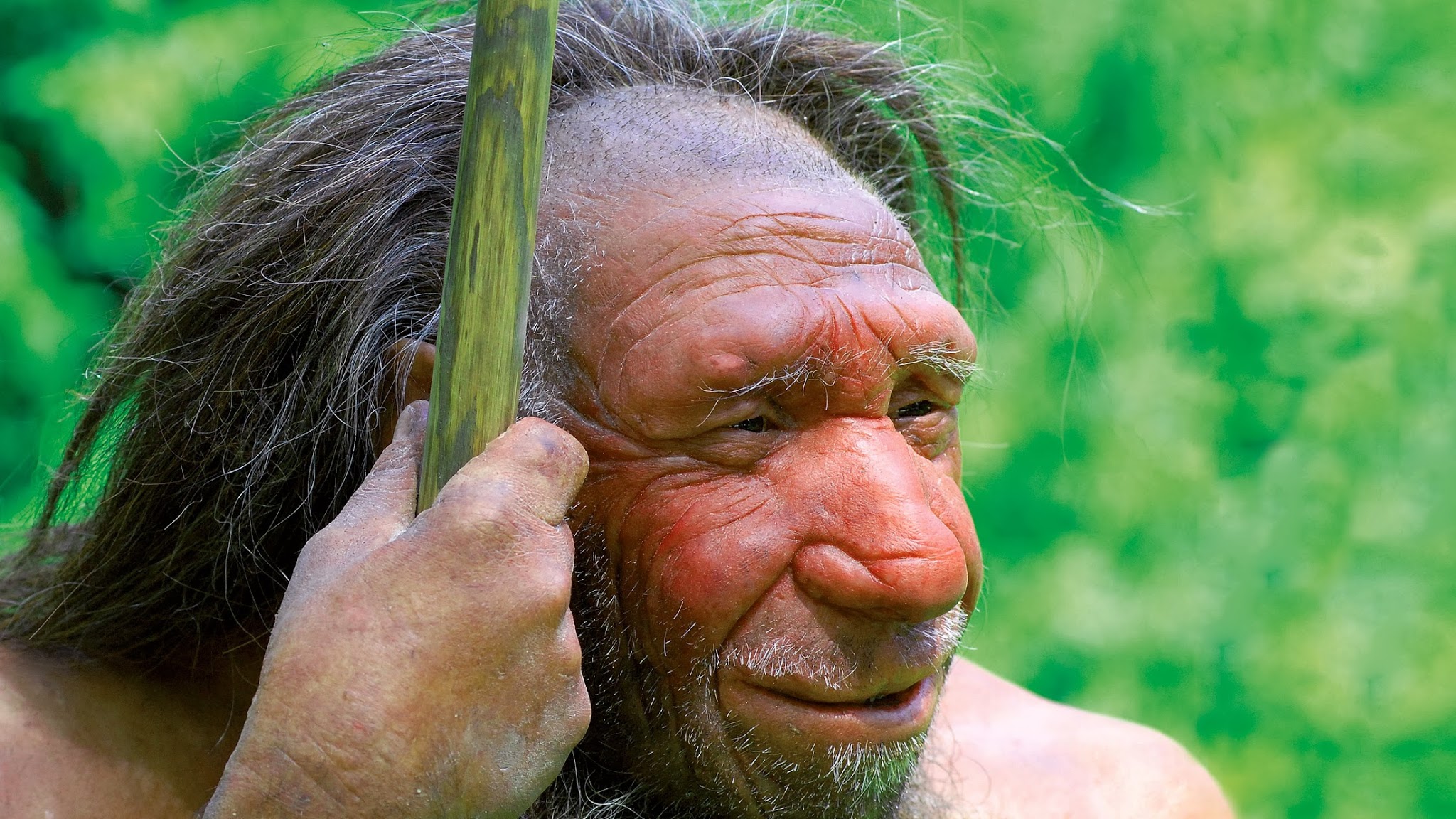 NeanderthalMuseum YouTube banner