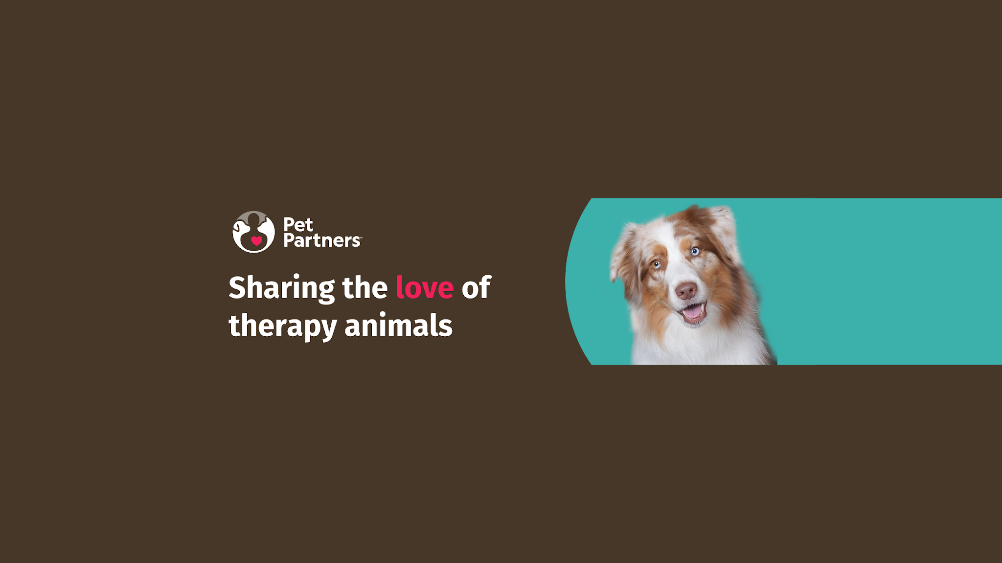 Pet Partners YouTube banner
