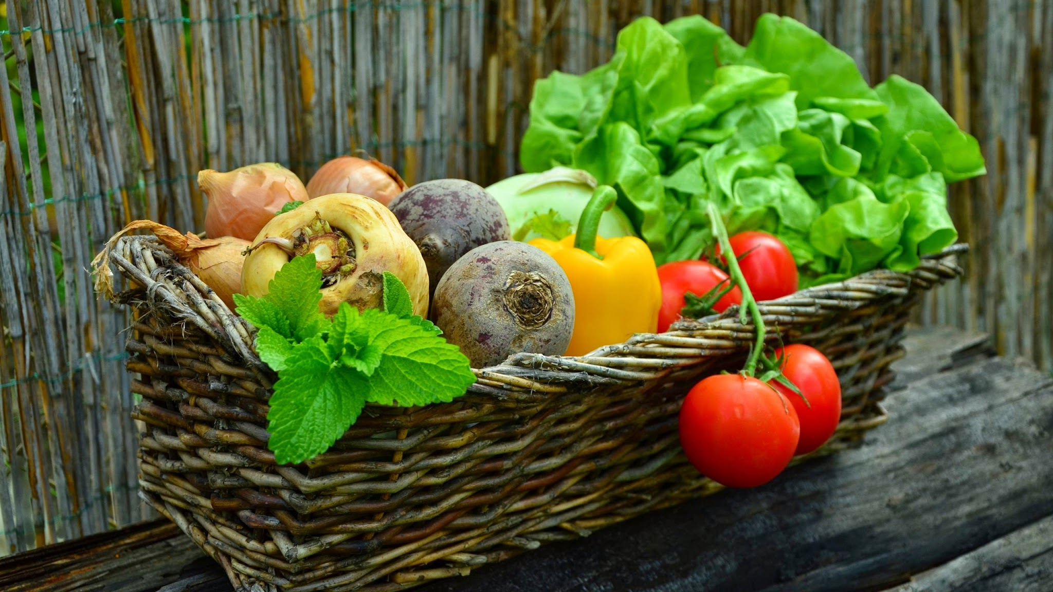 Bundeszentrum für Ernährung YouTube banner