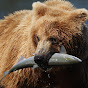 Alaska Seafood UK YouTube channel avatar 