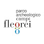 Parco archeologico dei Campi Flegrei logo