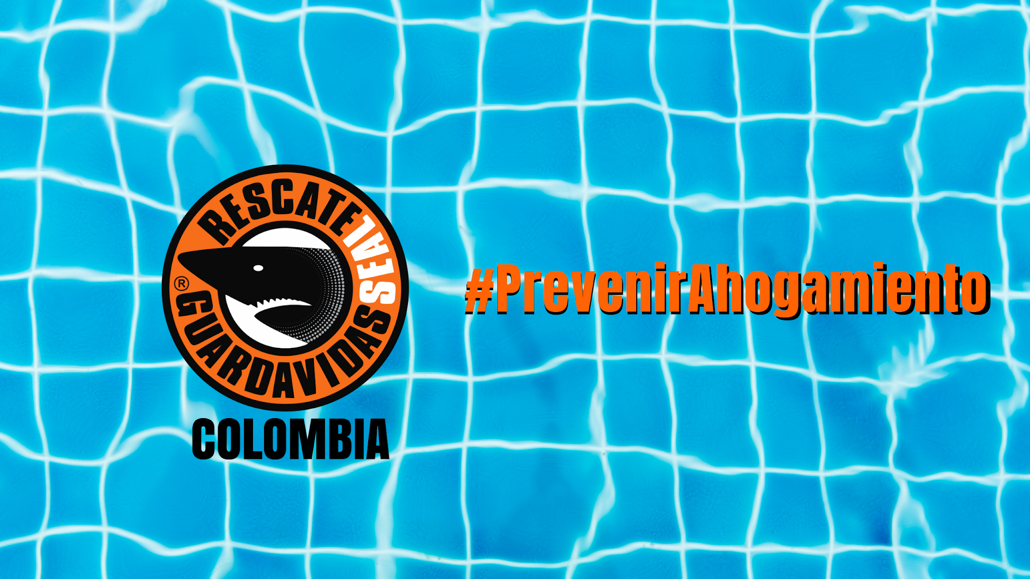SEAL Colombia YouTube banner