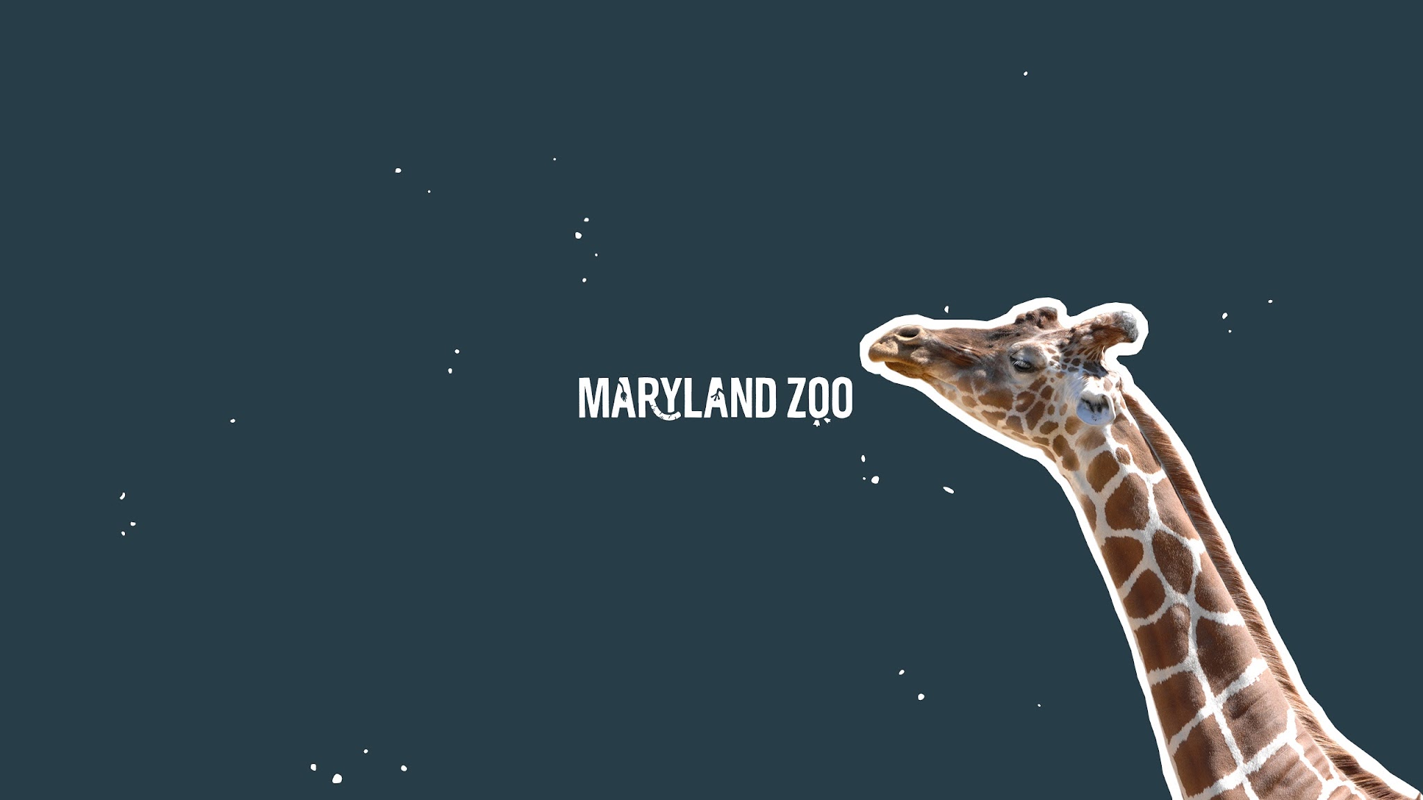 The Maryland Zoo in Baltimore YouTube banner