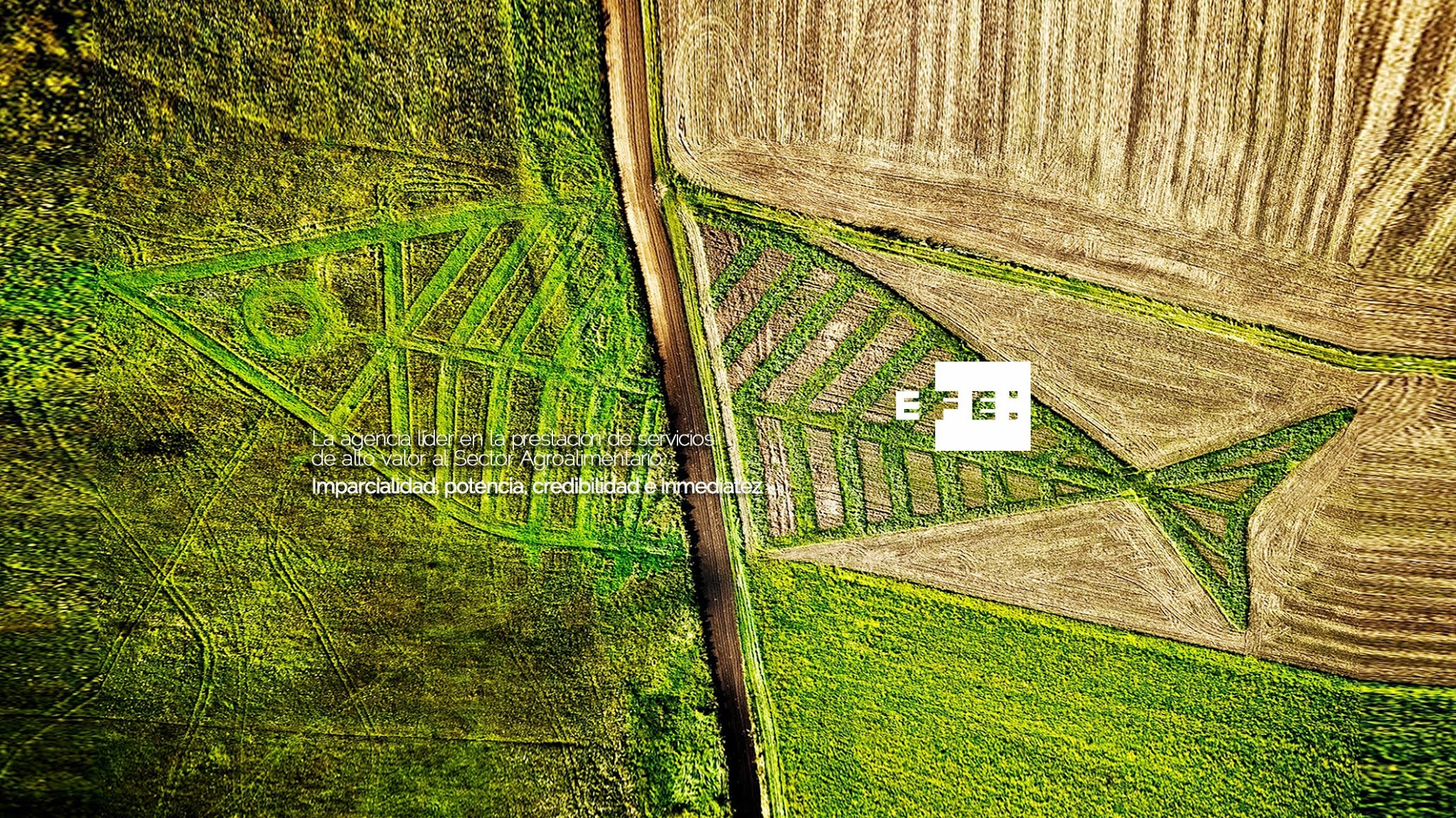 EFE AGRO YouTube banner