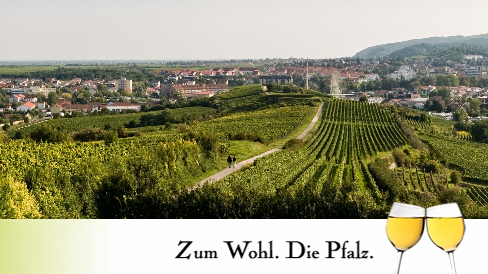 Pfalz YouTube banner