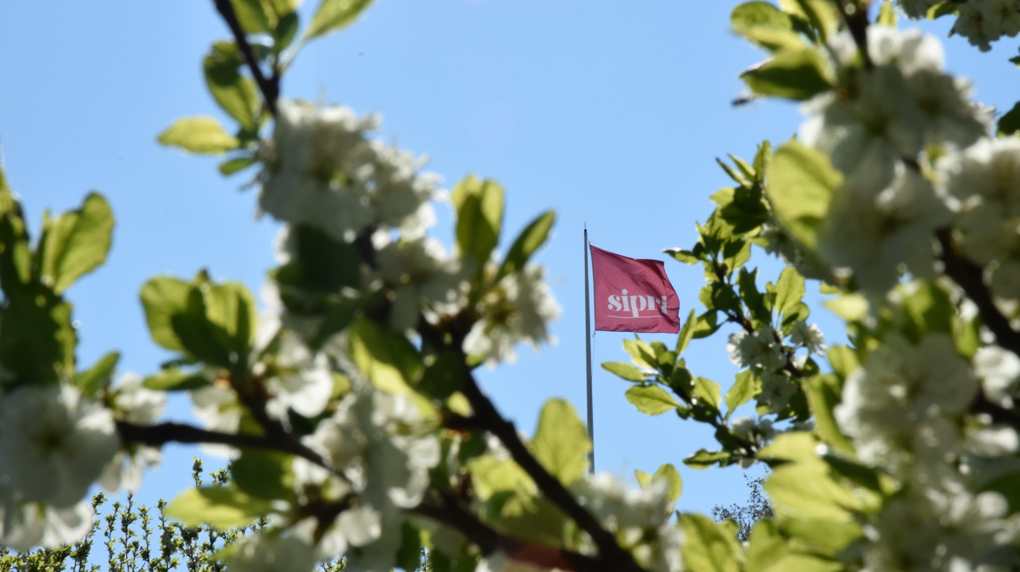 SIPRI YouTube banner