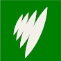 SBS Sport  logo