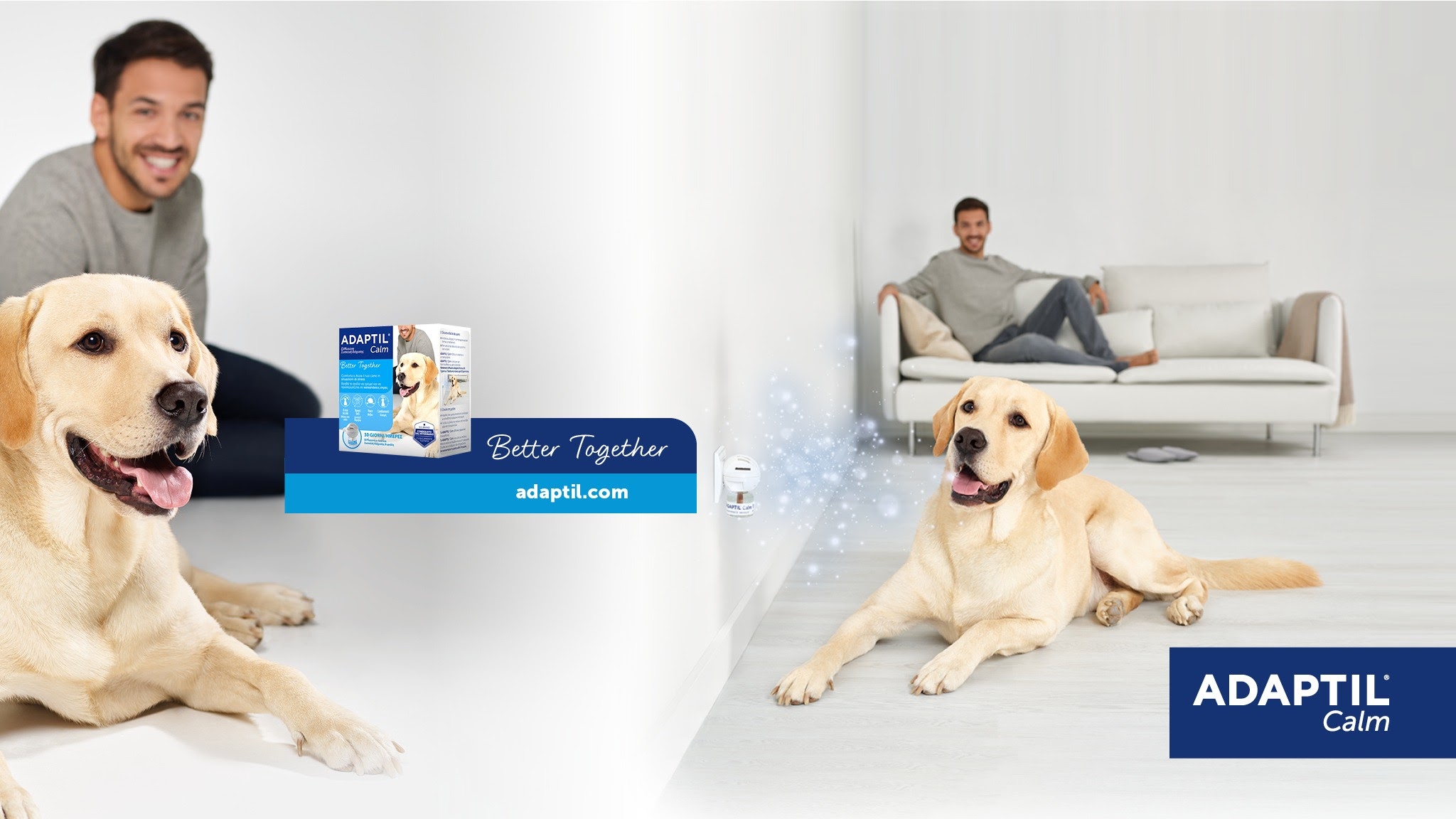 ADAPTIL per cani YouTube banner