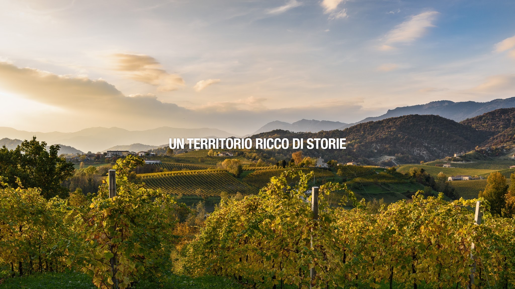 Sapori del Territorio YouTube banner