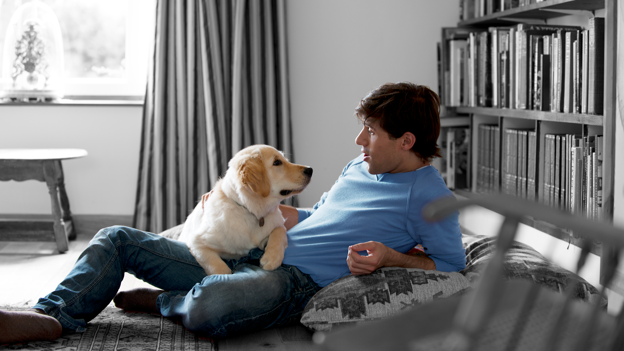 Purina Lietuva YouTube banner