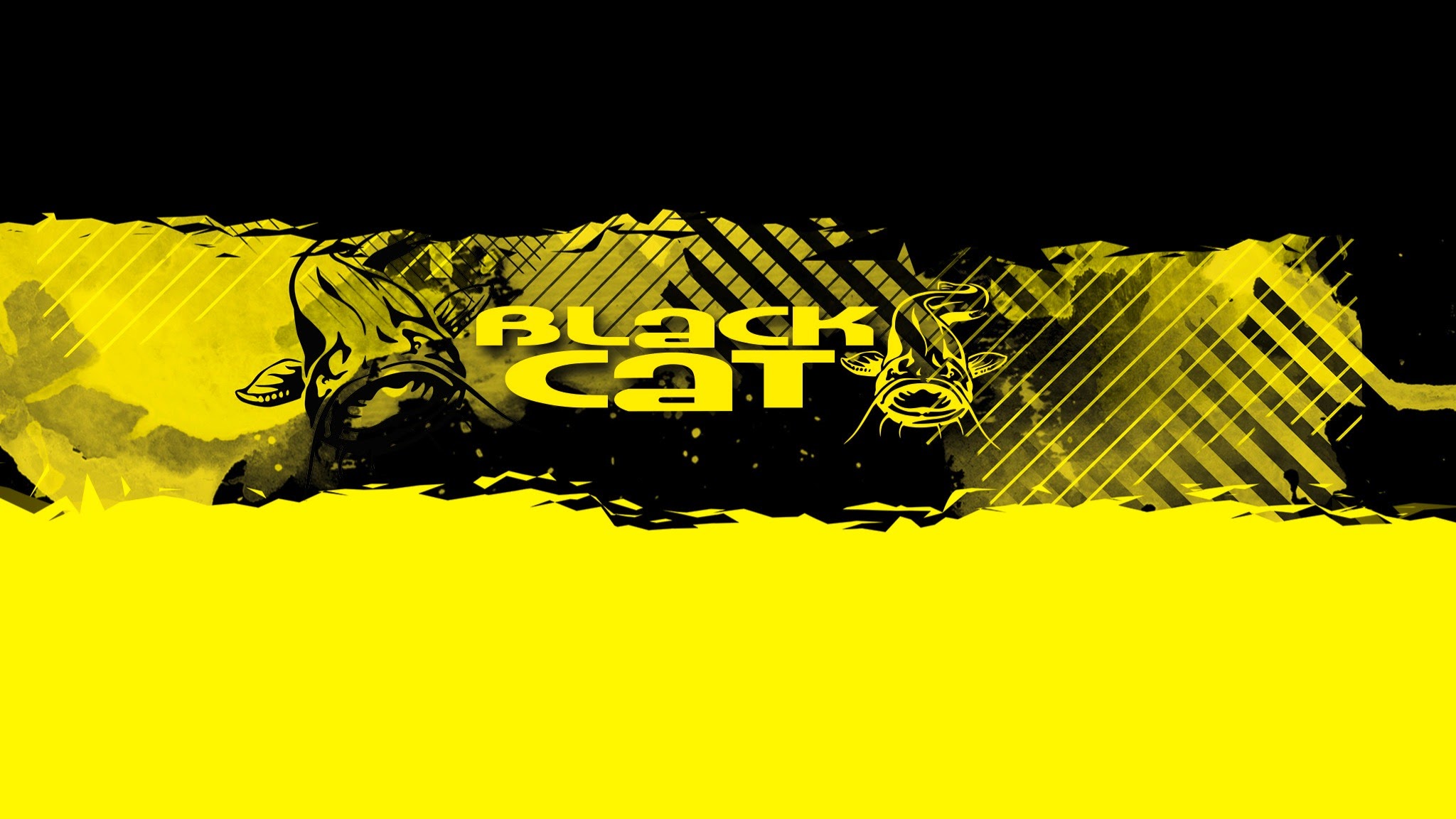 Black Cat Fishing Polska YouTube banner