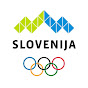 TeamSlovenia logo