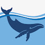 AustralianMarineConservationSociety YouTube channel avatar 