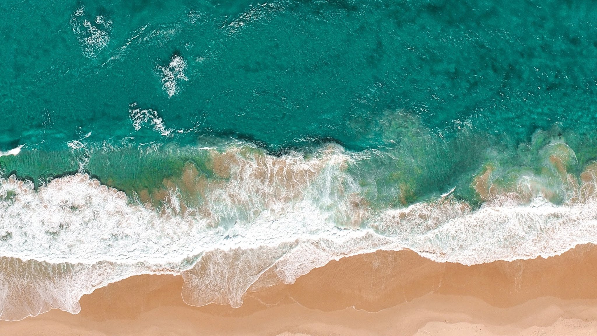 AustralianMarineConservationSociety YouTube banner